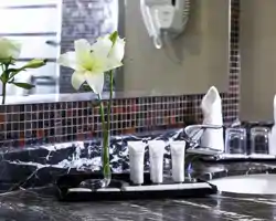 Al Aqeeq Madinah Hotel thumbnail