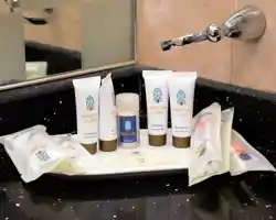 Al Rawda Royal Inn thumbnail