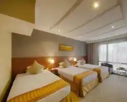 Al Safwah Royale Orchid thumbnail