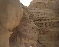 Banyan Tree Alula thumbnail