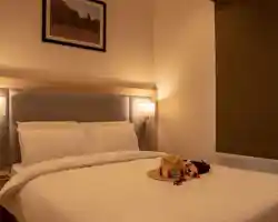 Cloud 7 Residence AlUla thumbnail