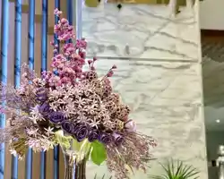 Violet Al Shisha Hotel thumbnail