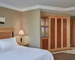 Le Meridien Makkah thumbnail