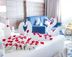 Season Star Hotel thumbnail