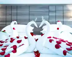 Season Star Hotel thumbnail