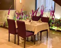 Violet Hotel thumbnail
