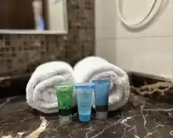 Violet Hotel thumbnail