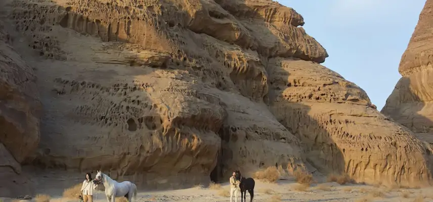 Banyan Tree Alula image