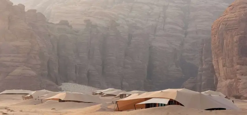 Banyan Tree Alula image