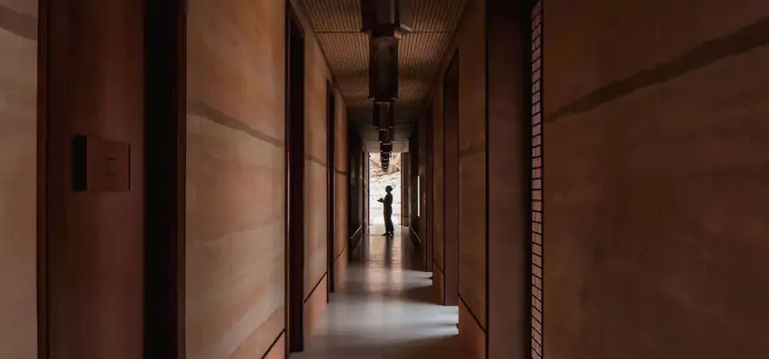 Banyan Tree Alula image