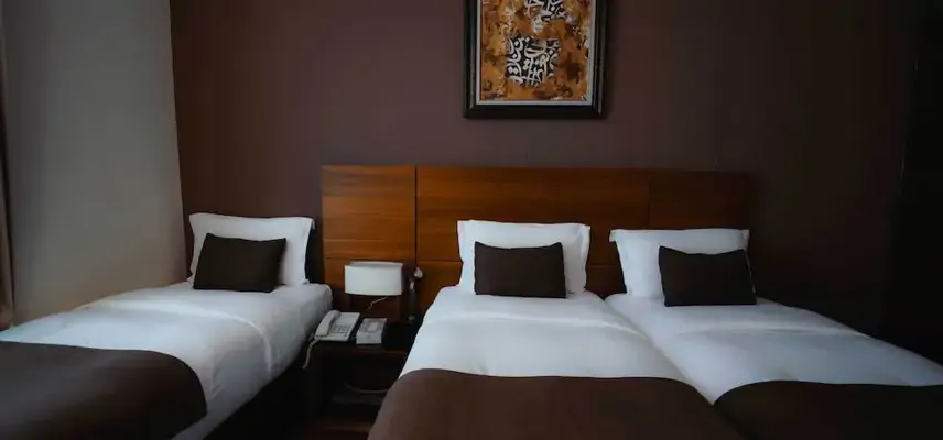 Nour Al Thuria Hotel image