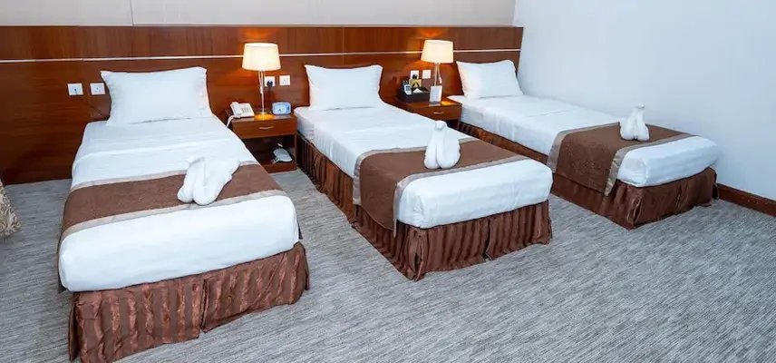 Rizq Palace Hotel image