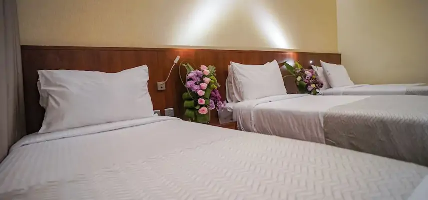 Emaar Elite Hotel image