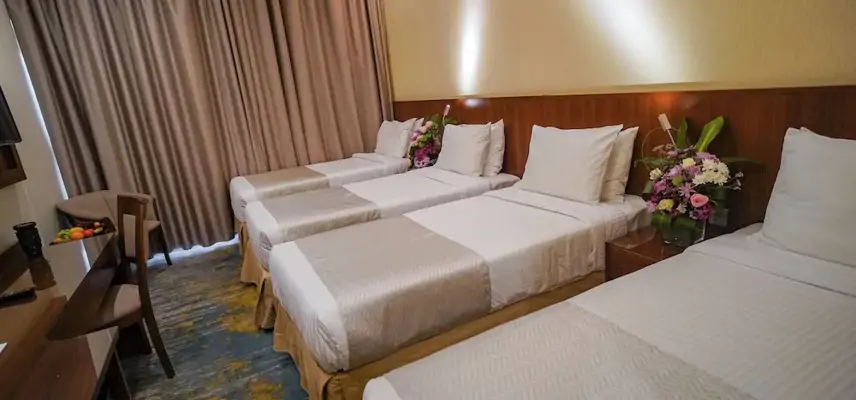 Emaar Elite Hotel image