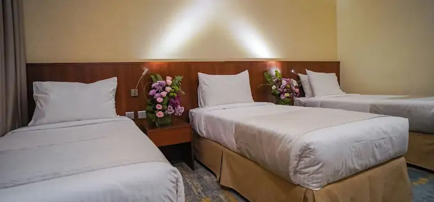 Emaar Elite Hotel image