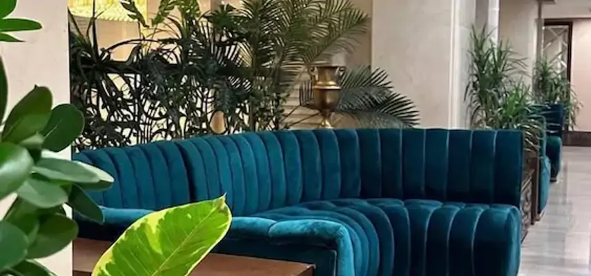 Violet Hotel image