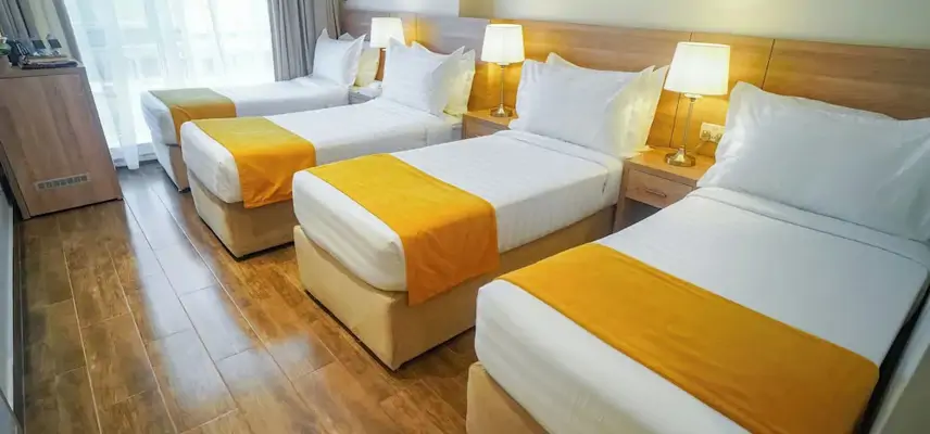 Worth Elite Hotel image