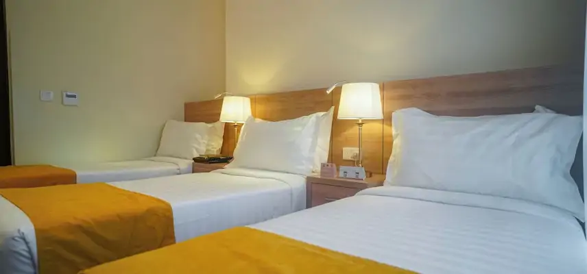 Worth Elite Hotel image