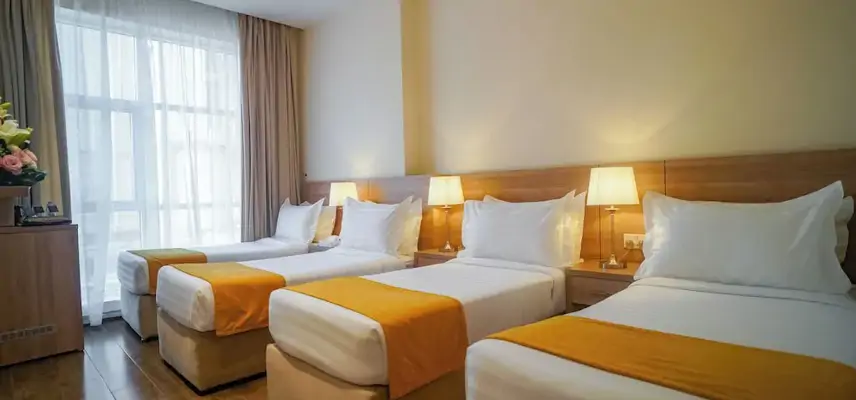 Worth Elite Hotel image